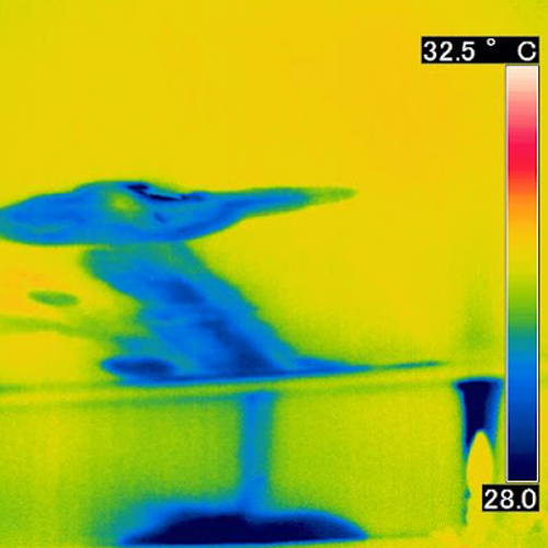 赤外線サーモグラフィーの抽出画像
